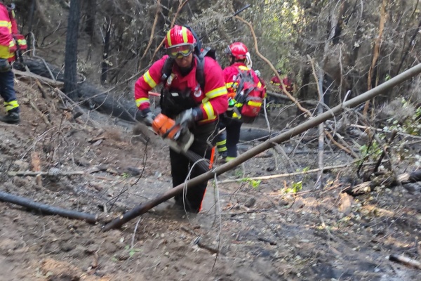 Missão Chile: A participação dos nossos Bombeiros Voluntários