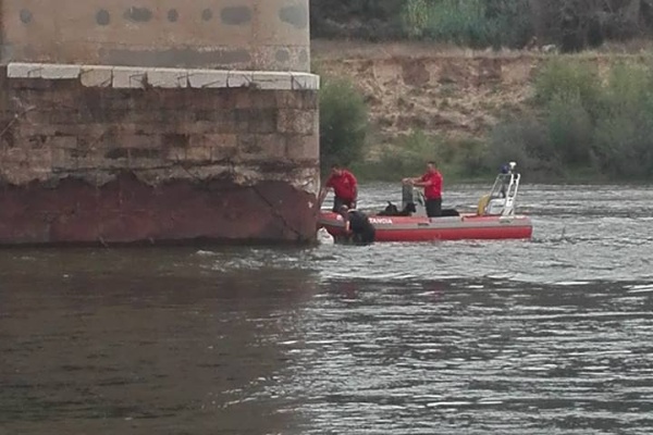 Bombeiros salvam animais