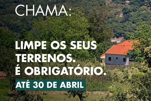 Portugal chama! Limpeza de terrenos