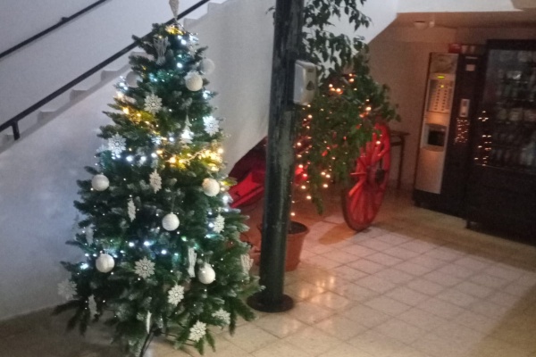Bombeiros ligam Luzes de Natal 