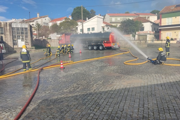 Um dia em formação