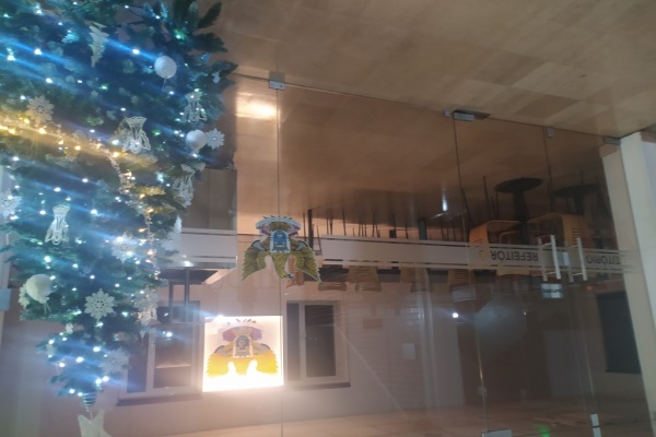 Árvores de Natal