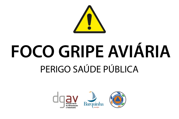 Foco de gripe aviária | Informação