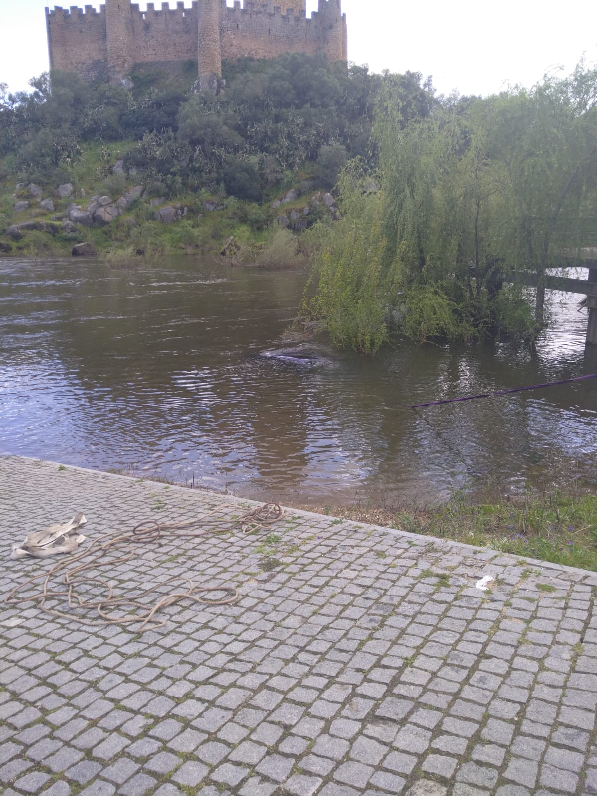 IMG 20250422 WA0016