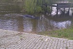 IMG 20250422 WA0015