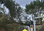 tempestade 8